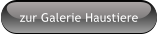 zur Galerie Haustiere