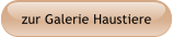 zur Galerie Haustiere